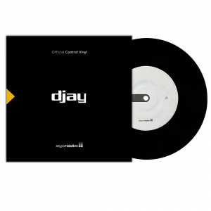 Algoriddim djay PRO AI 7" Control Vinyl black